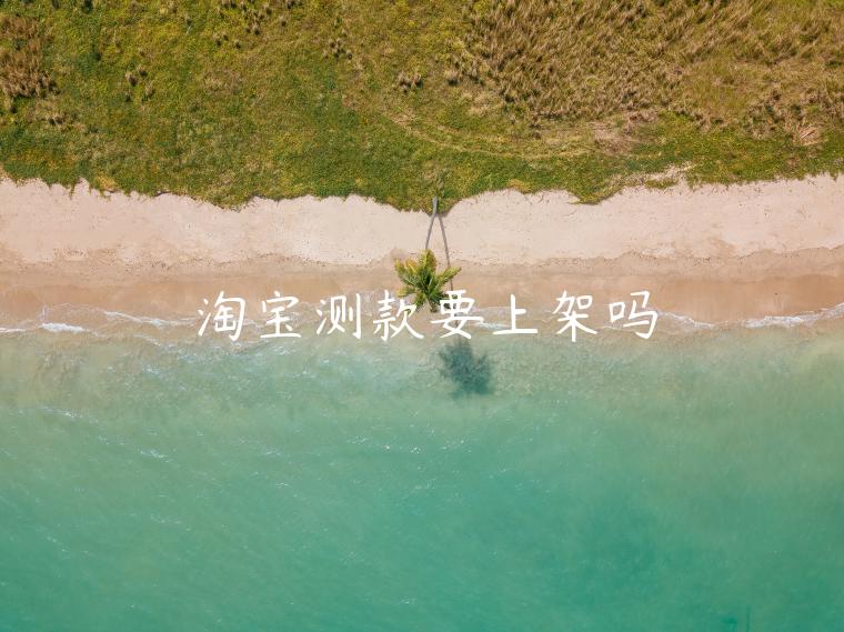 淘宝测款要上架吗